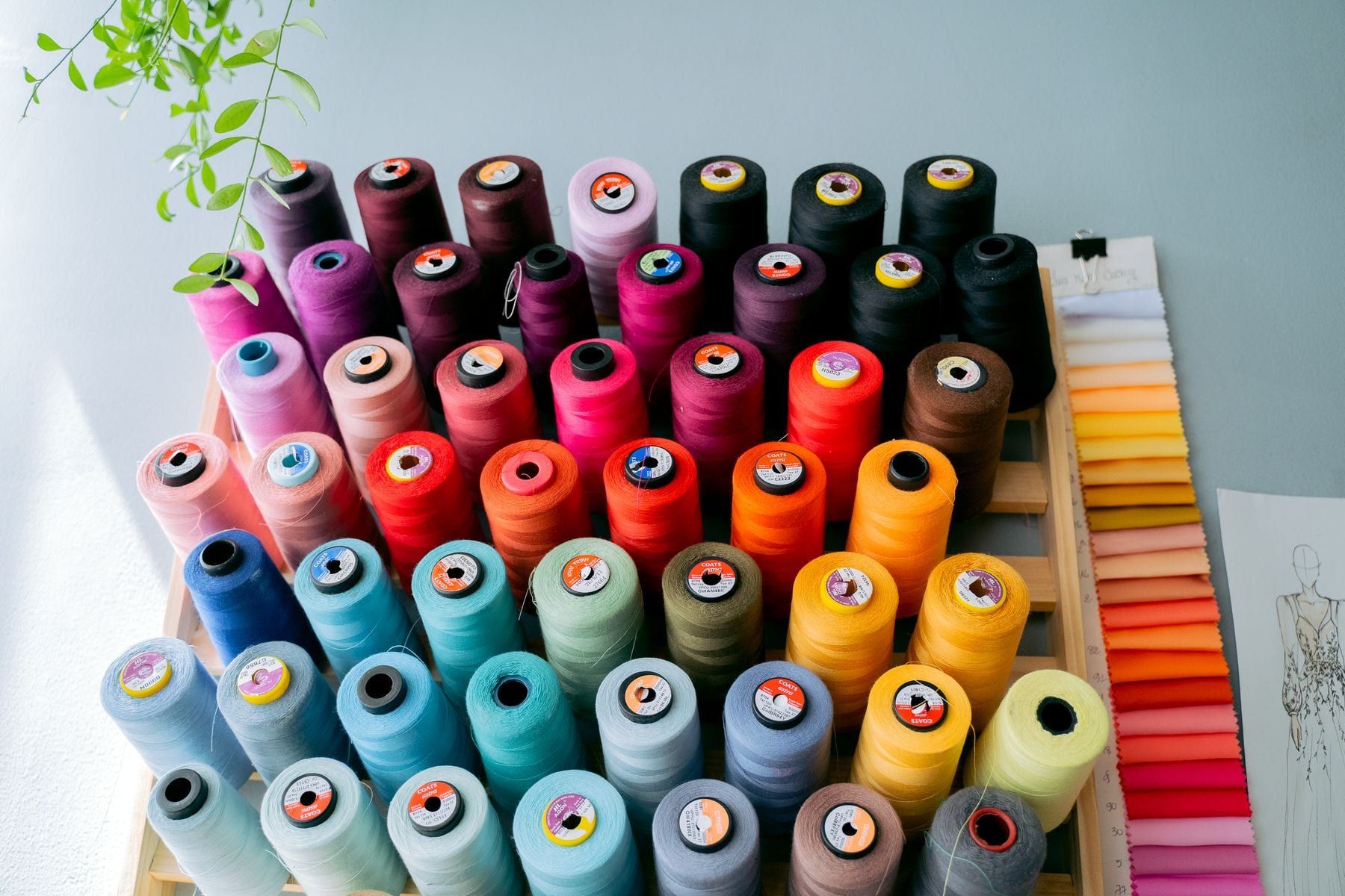 Spools of coloured sewing thread arranged by shade beside fabric swatches